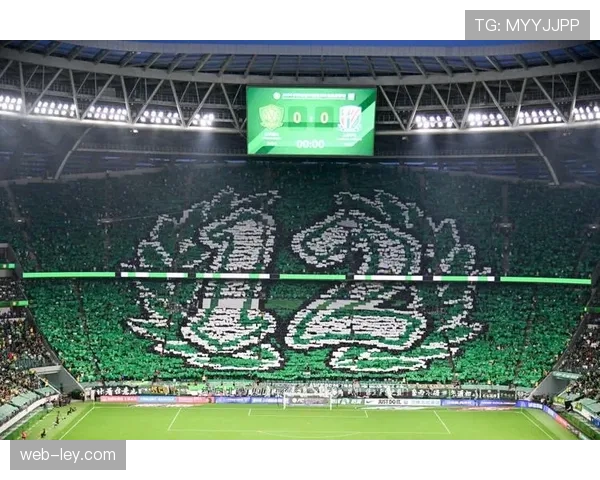 威斯特法伦南看台，多特蒙德球迷用巨型TIFO激励球队冲击前四