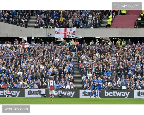 桑德兰球迷庆祝保级关键胜利，光明球场陷入狂欢